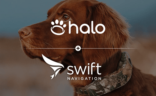 CaseStudy-HaloCollar
